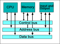 Databus | What Is It? Explanation and Computer Usage