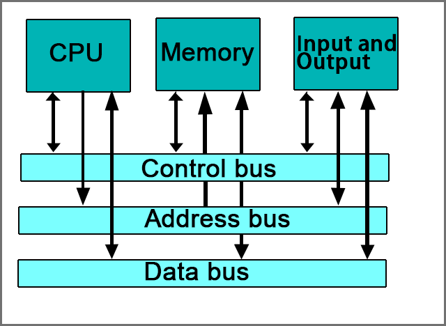 Data Bus Schedule