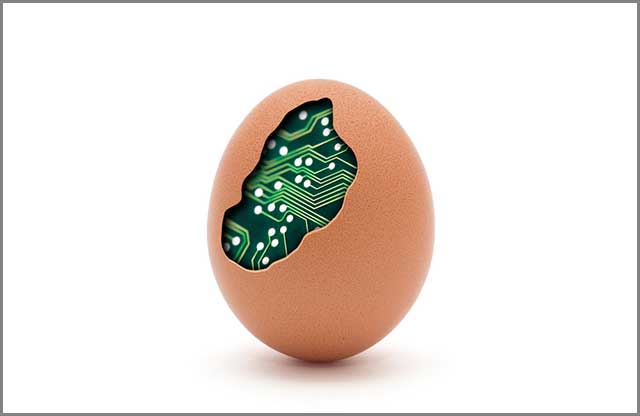 Computer egg with circuit board displayed by a PCB maker online