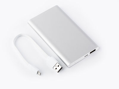 Power bank for mobile devices