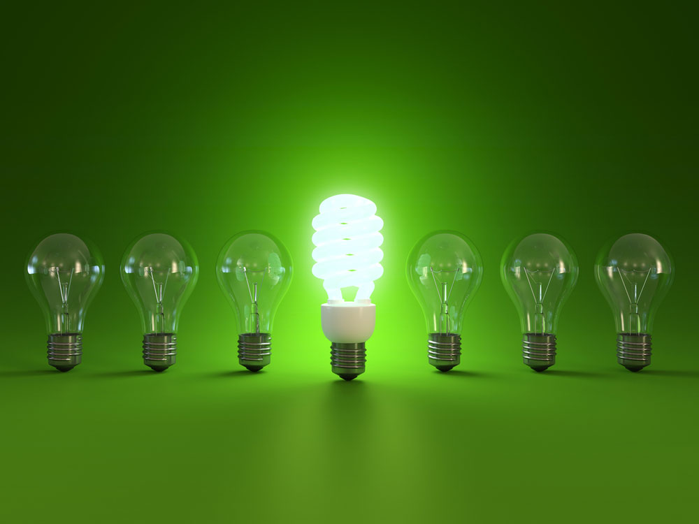 Energy Saving Bulbs 