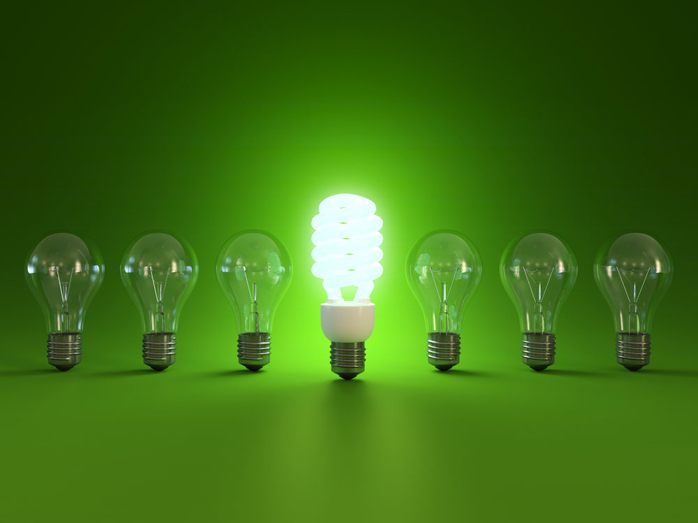 Energy Saving Bulbs