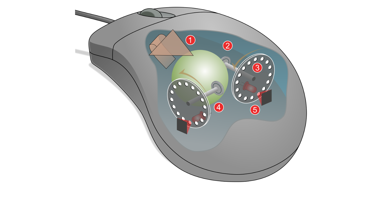 Mouse rotary mechanism