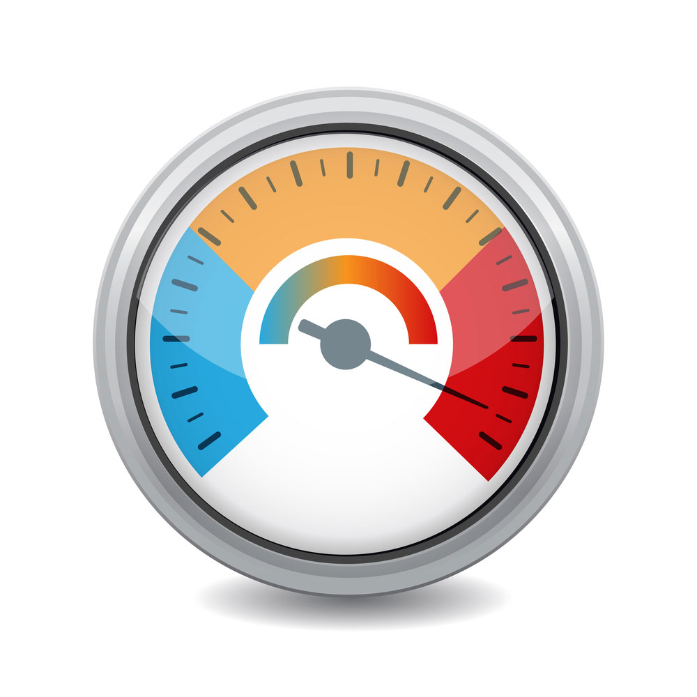a temperature(digital) gauge we use in cooking