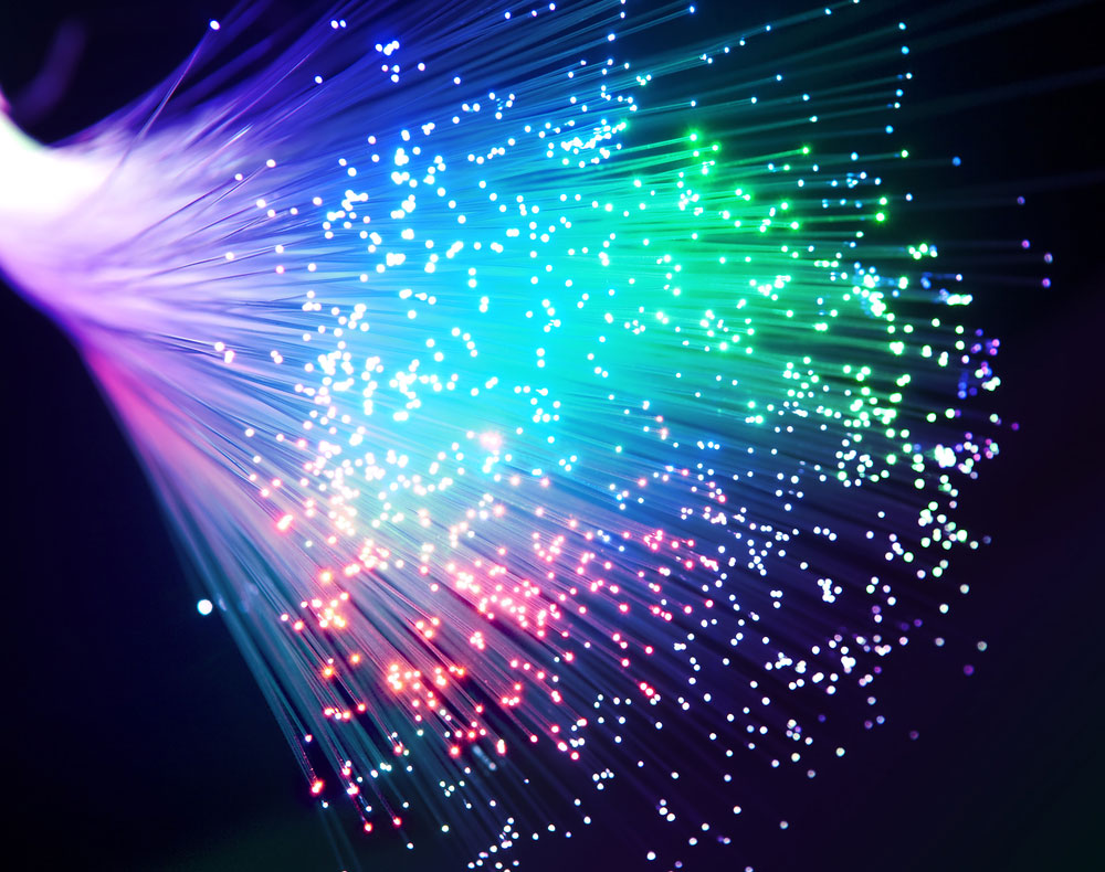 Bunch of optical fibers