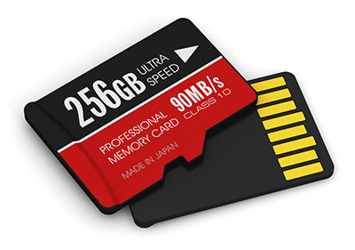 A Micro SD card