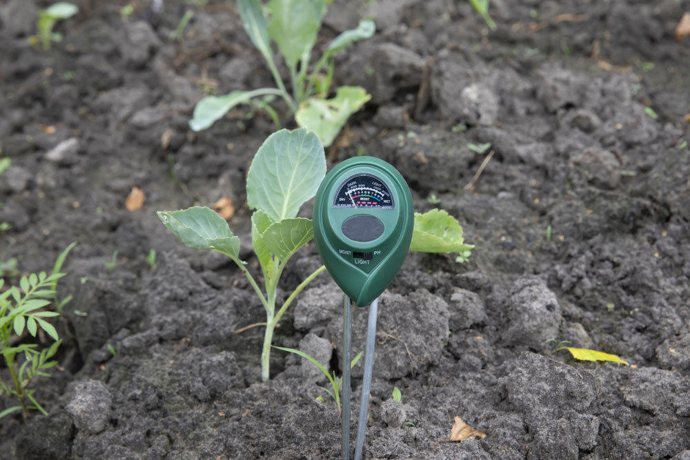 A soil moisture sensor in action