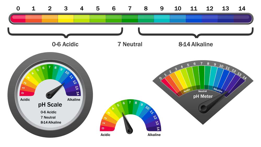 PH meter checking acidity level