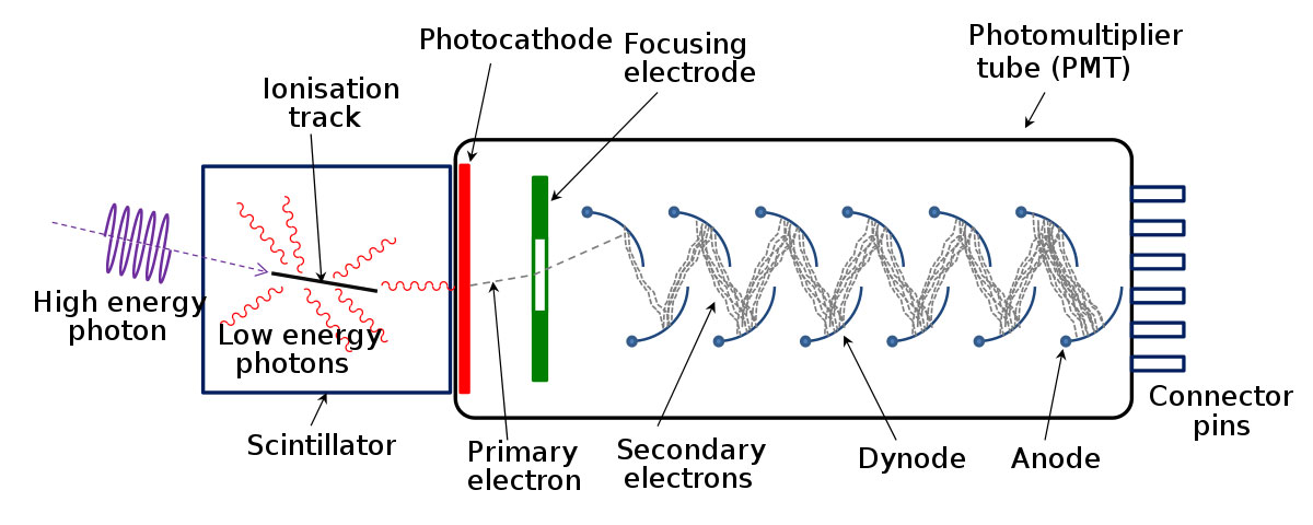 Photomultiplier tube diagram