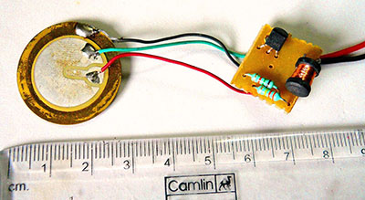 The internal structure of a buzzer