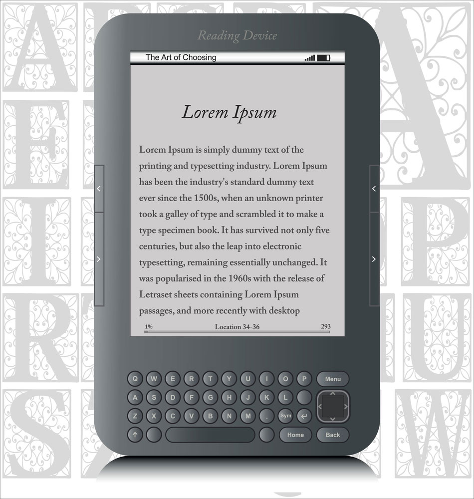 E-ink display reader