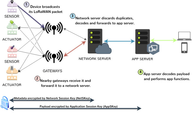LoRa network architecture. Note the four components (end nodes, gateways, a network server, and an application server)