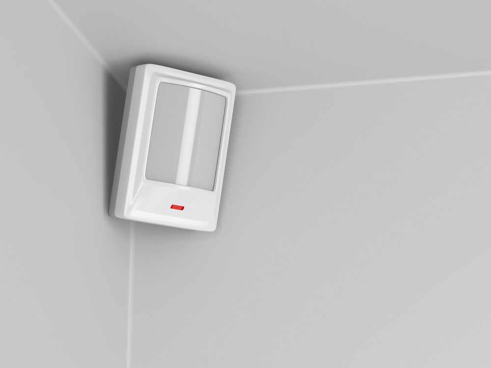 a motion detector connected to an alarm mainboard
