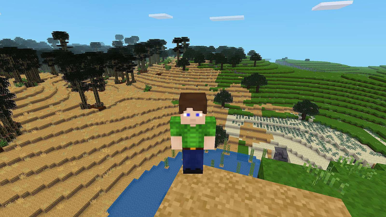 A Minecraft player (default avatar) and several biomes (jungles, dry and green plains)