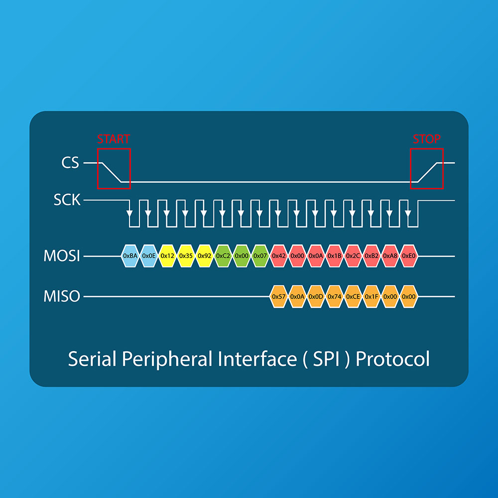 The SPI protocol clock interface