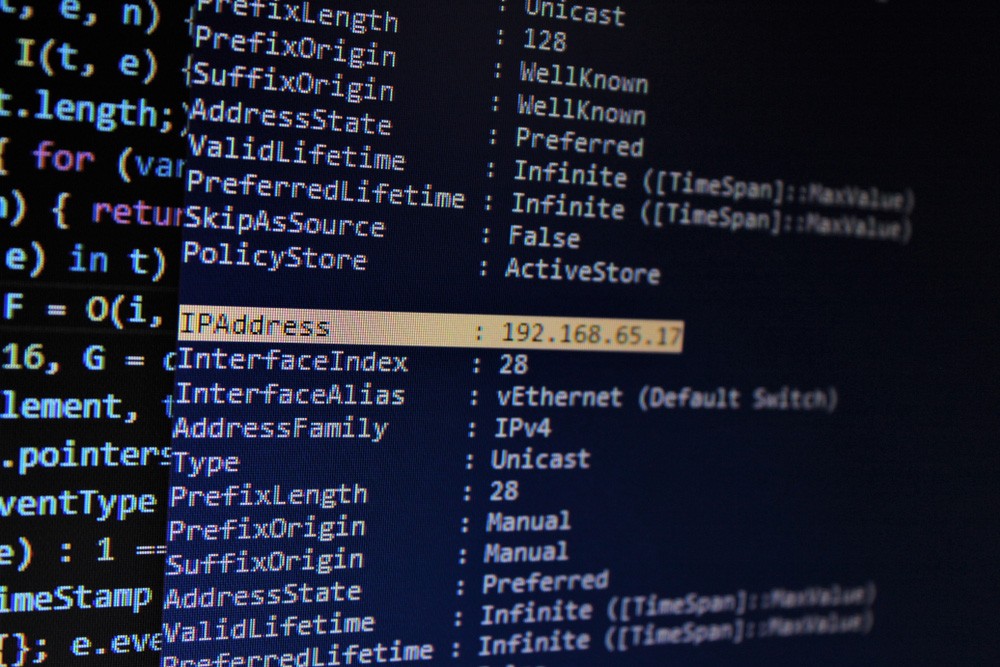 An IP address showing in a shell console