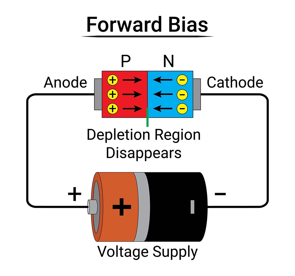 A diode connected in forward bias