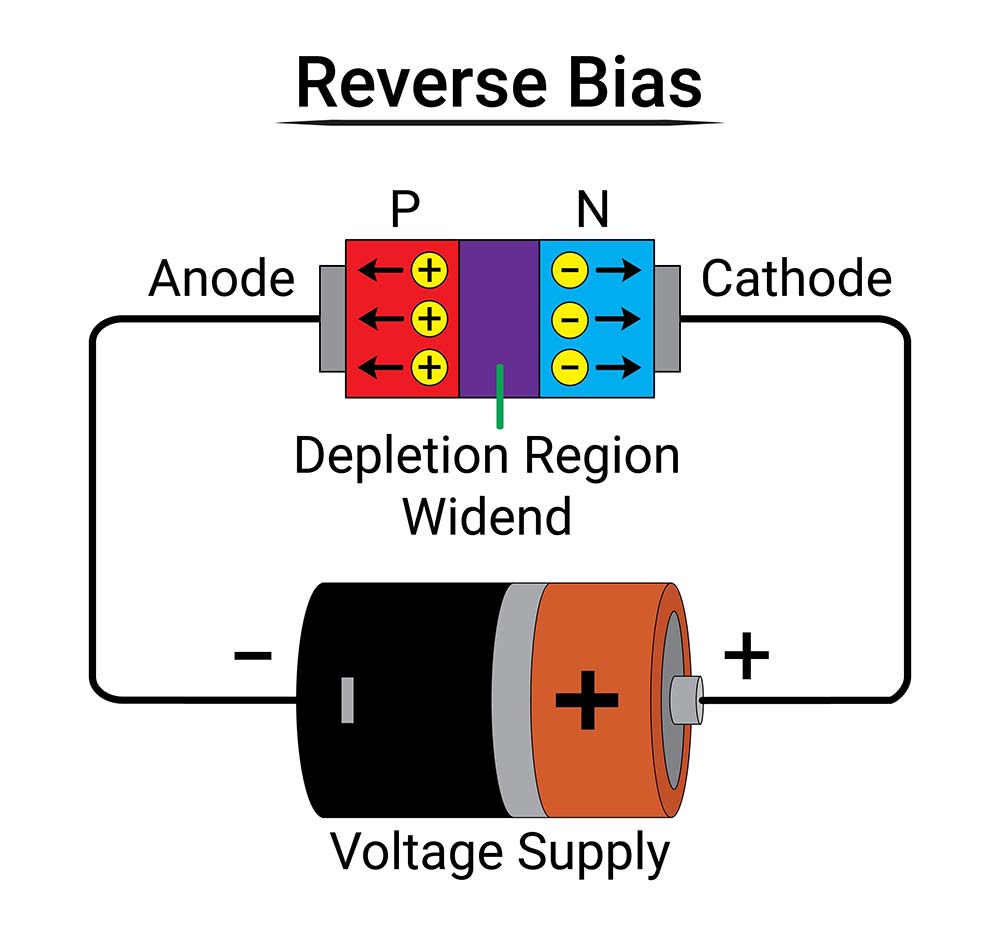 A diode connected in reverse bias
